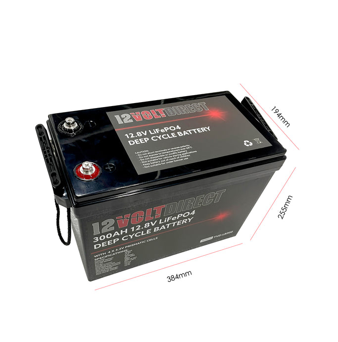 300AH Lifep04 Lithium Battery w/ 300A BMS